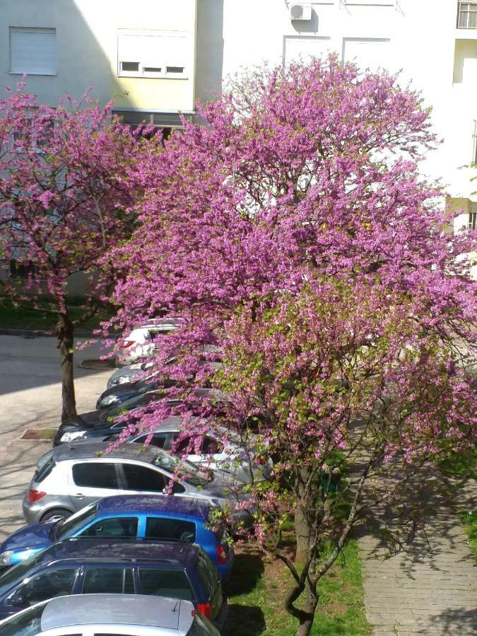 Apartman Simple Mostar Exterior foto